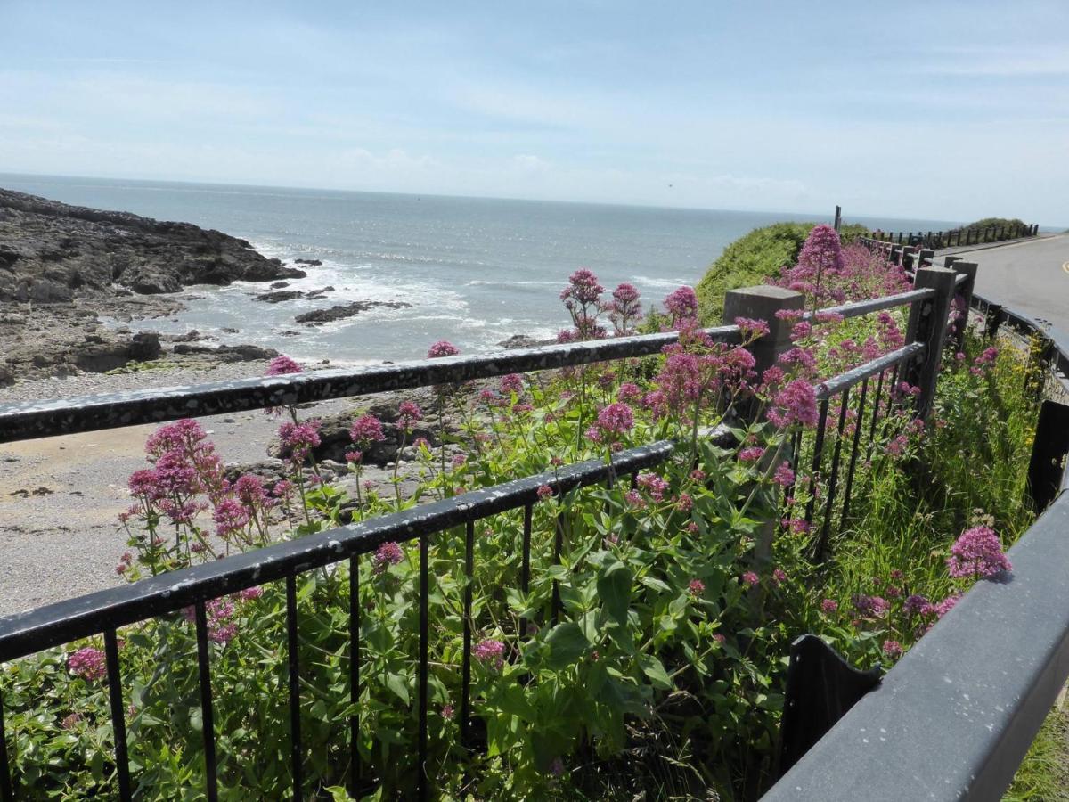 2A Redcliffe Apartment Bishopston Dış mekan fotoğraf